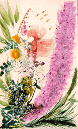 Wildflowers